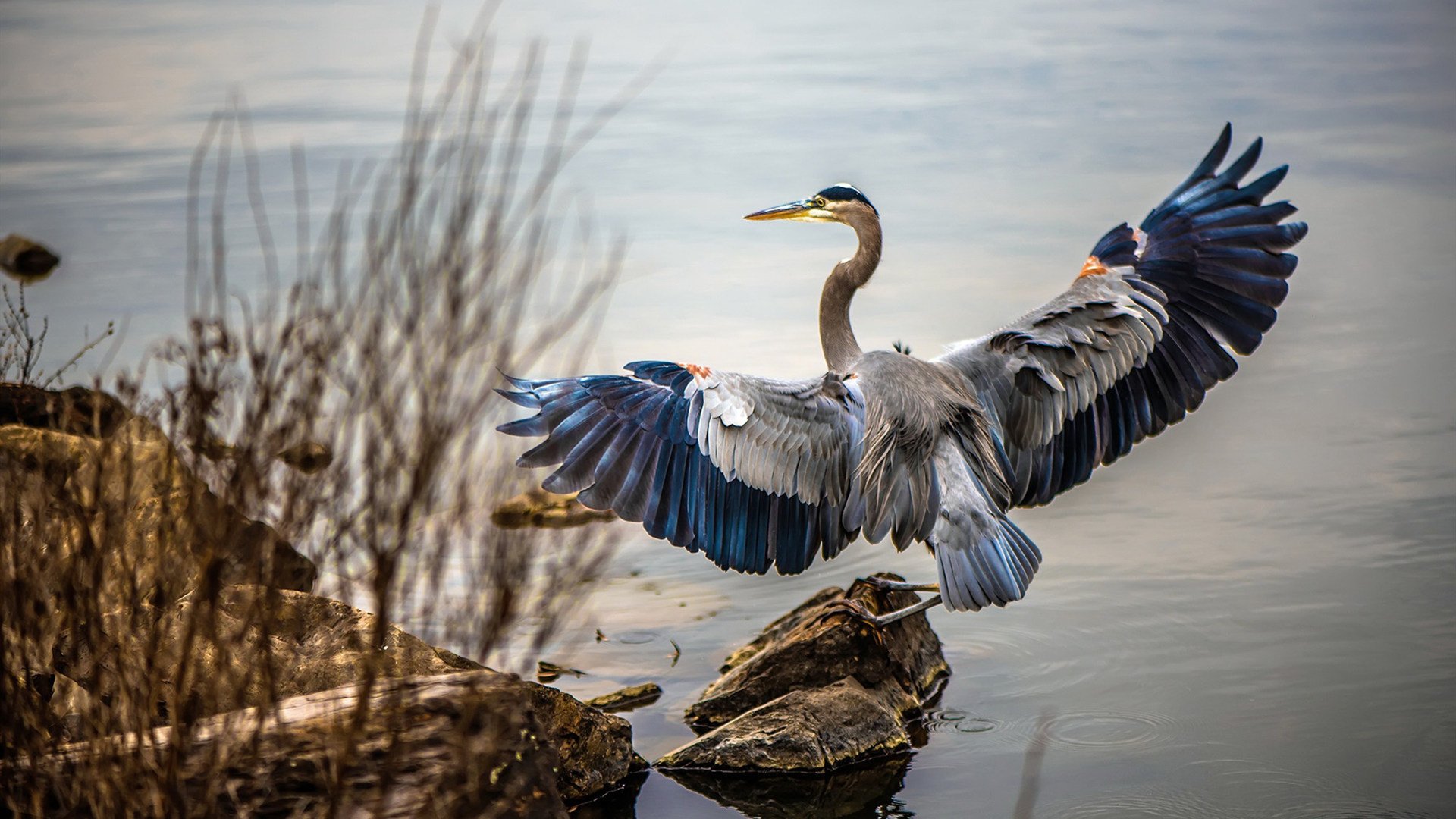 秒杀级统治力！卡瓦哈尔化身赛场暴君，几内亚把马里按在草皮上摩擦